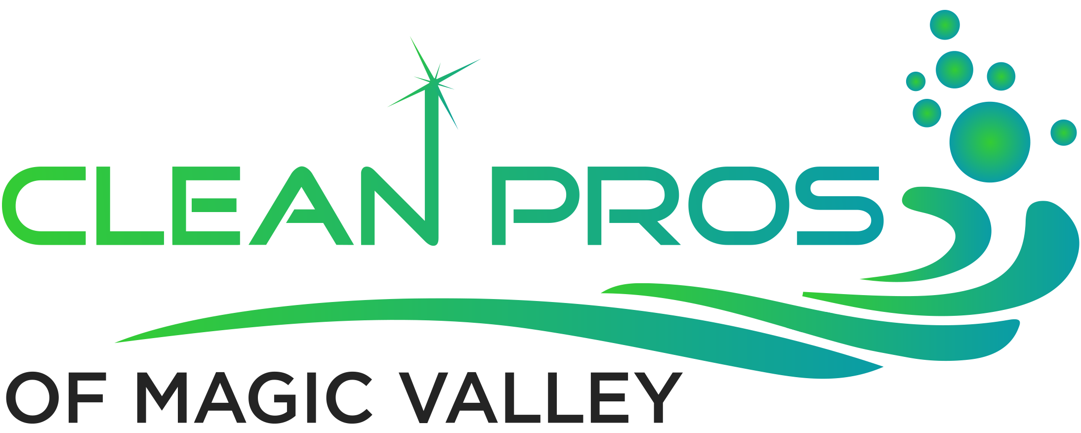Clean Pros of Magic Valley Logo